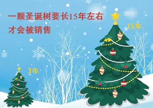 中國最早報(bào)道圣誕節(jié)的竟是《人民日?qǐng)?bào)》，你不知道的10個(gè)圣誕小知識(shí)